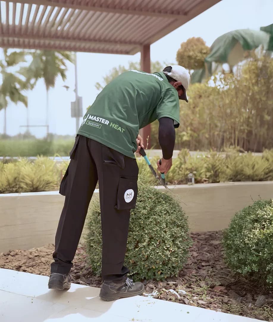 Expert Landscape Services